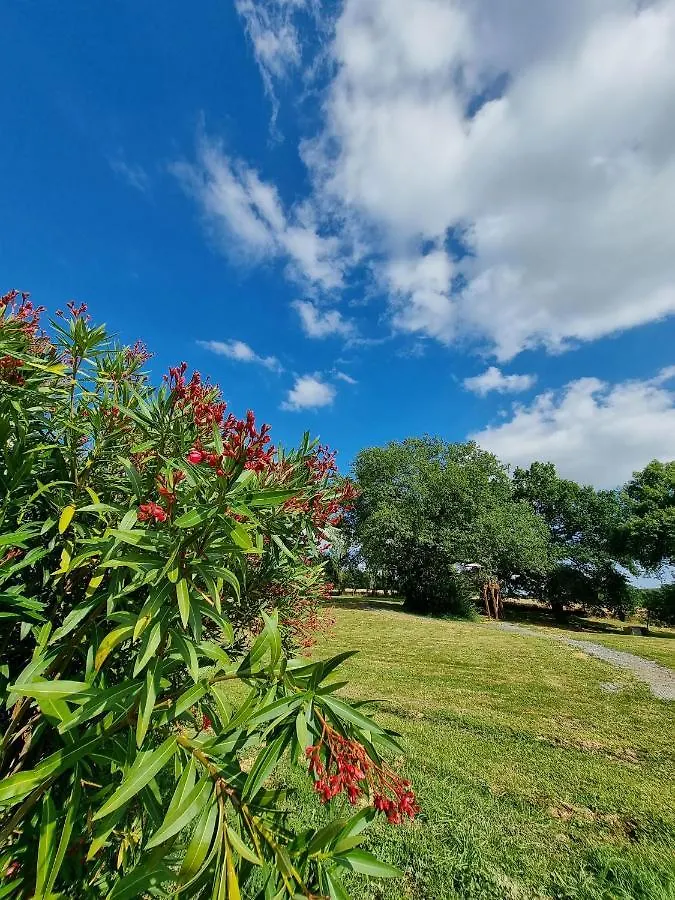 ***  Les Bulles Perchees De Lartigue Bed & Breakfast Margouet-Meymes France
