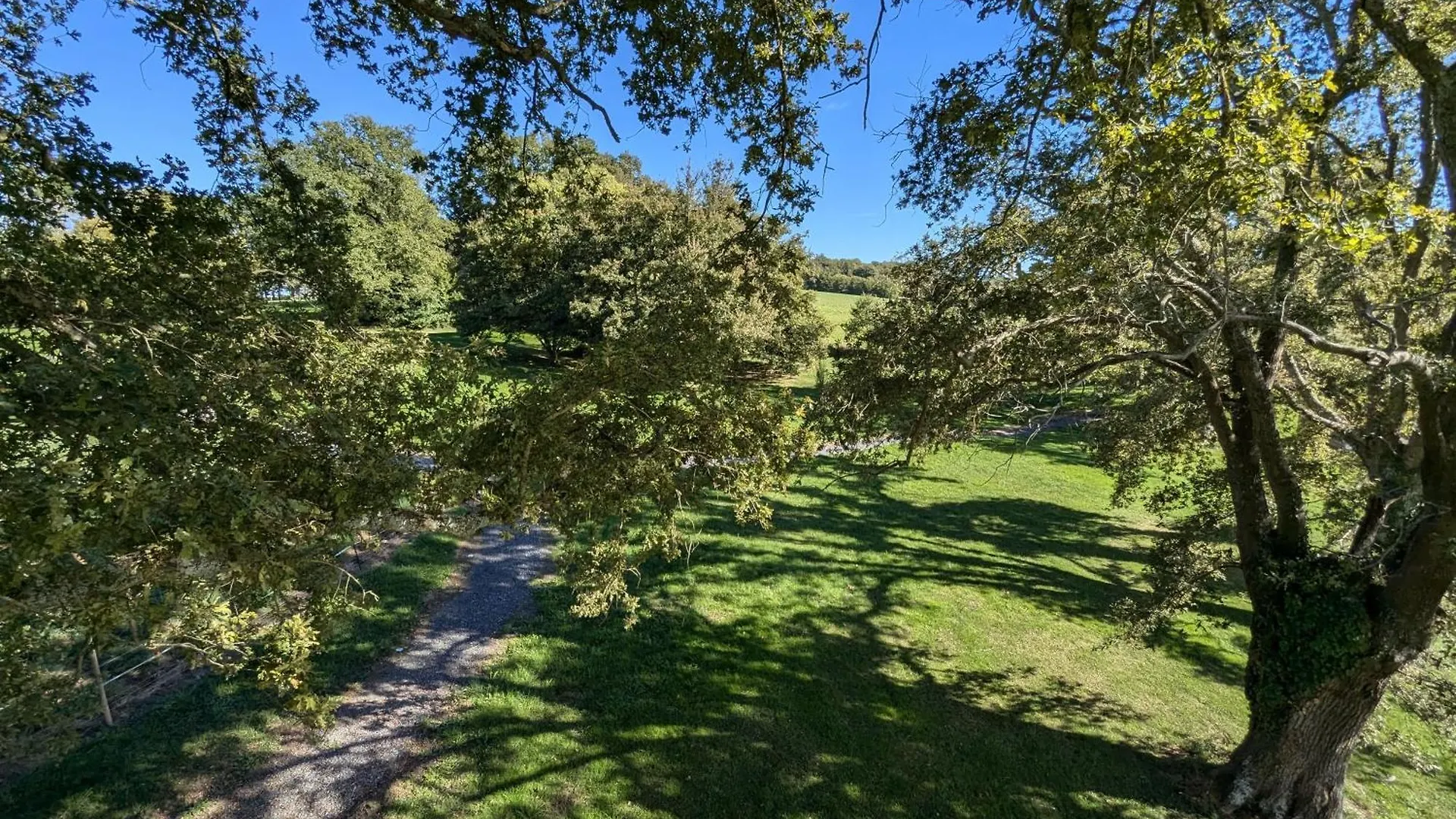 Les Bulles Perchees De Lartigue Bed & Breakfast Margouet-Meymes France